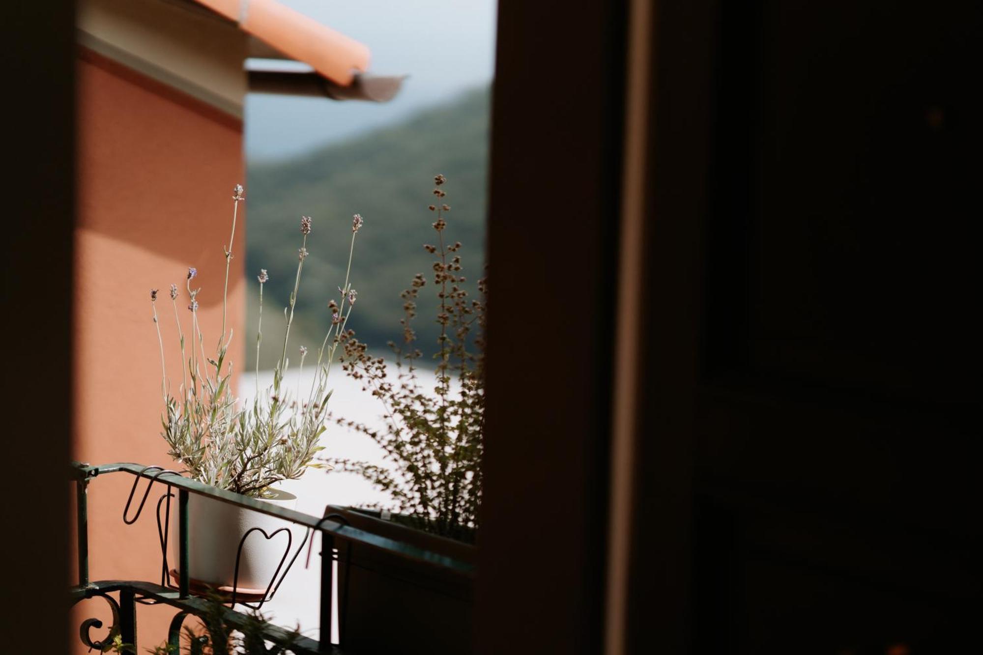 Teriasca Il Castagno Holiday Home מראה חיצוני תמונה